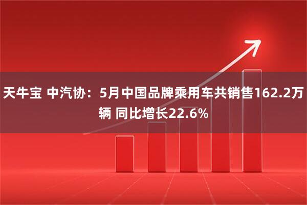 天牛宝 中汽协：5月中国品牌乘用车共销售162.2万辆 同比增长22.6%