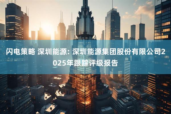 闪电策略 深圳能源: 深圳能源集团股份有限公司2025年跟踪评级报告